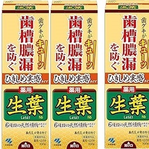 ★新品未開封☆ひきしめ生葉(しょうよう) 歯槽膿漏を防ぐ 薬用ハミガキ 100ｇ 5本