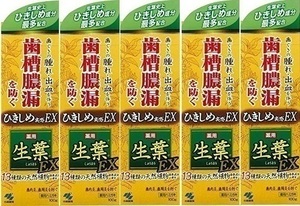 ★新品未開封☆生葉ＥＸ100ｇ　5個セット