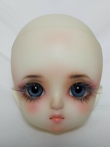  dream night. .. not no. 13 chapter [ water. .]...SD girl Leroux custom head only balk s Super Dollfie white .