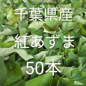 あやあや様専用　安納芋50本 紅あずま 50本