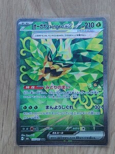 ポケモンカード　変幻の仮面　SAR　オーガポン みどりのめんex　未使用