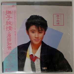 帯付き 原田知世/撫子純情/KADOKAWA 18AH2002 LP