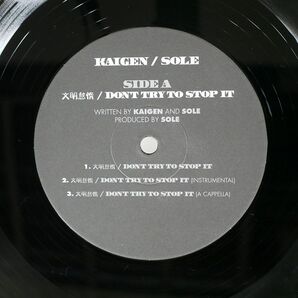 SOLE/DON’T TRY TO STOP IT RUST BELT FELLOWS/POETIC DISSENT PCDTR005 12の画像2