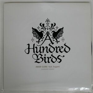 A HUNDRED BIRDS/AMAR GORA FEAT. SUGAMI/DMR FMR036 12