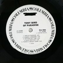 米 プロモ TONY BIRD/BIRD OF PARADISE/COLUMBIA JC34988 LP_画像2