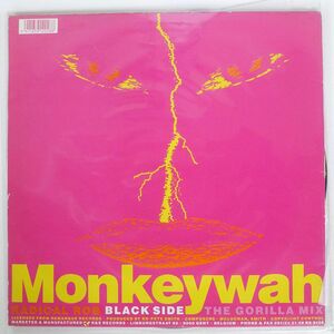 RADICAL ROB/MONKEYWAH(MIXES)/R&S RS 9128 12