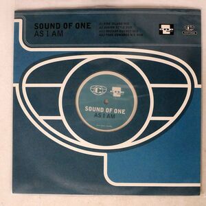 SOUND OF ONE/AS I AM/COOLTEMPO 12COOL280 12