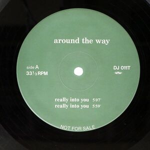 AROUND THE WAY/REALLY INTO YOU/NOT ON LABEL DJ011T 12