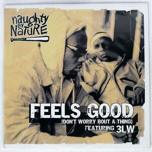 米 NAUGHTY BY NATURE/FEELS GOOD (DON’T WORRY BOUT A THING)/TVT TVT23440 12