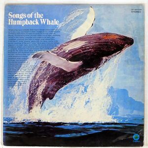 NO MUSIC/ざとう鯨の歌/CAPITOL CP9019W LP
