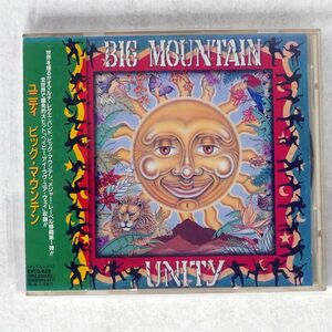 BIG MOUNTAIN/UNITY/GIANT BVCG-628 CD □