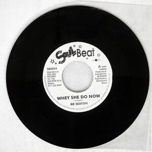 B.B. SEATON/WHEY SHE DO NOW / I LOVE THE REGGAE/SOULBEAT SBS054 7 □