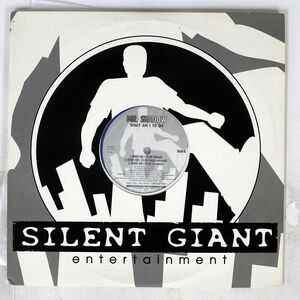 MR. SHADOW/WHAT AM I TO DO/SILENT GIANT ENTERTAINMENT SGE-1001 12