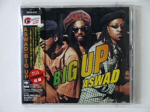 ASWAD/BIG UP/SONY SRCS-8157 CD □