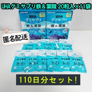 新品 UHAグミサプリ鉄＆葉酸 110日分20粒入×11袋 UHA味覚糖 グミ UHA味覚糖 サプリメント 11袋セット
