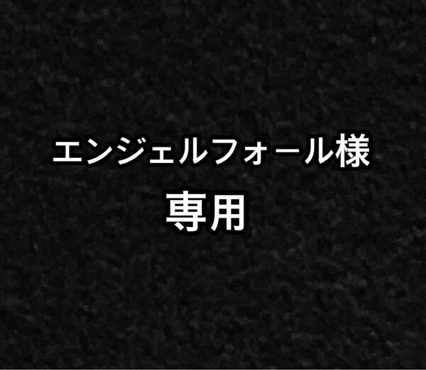 エンジェルフォール様　専用