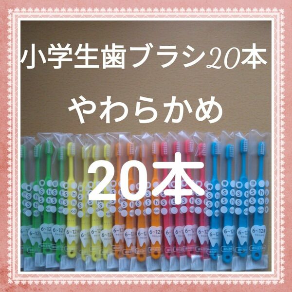 【292】歯科専売　小学生歯ブラシ「やわらかめ20本」