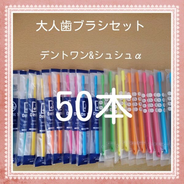 【301】歯科専売　大人歯ブラシ「ふつう50本」