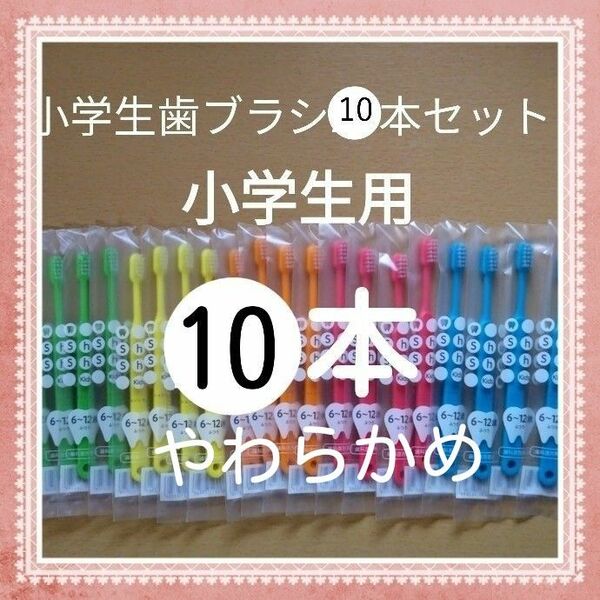 【261】歯科専売　小学生歯ブラシ「やわらかめ10本」