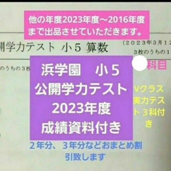 浜学園　小５　 公開学力テスト　成績資料付き　2023年度　 国語算数理科　灘中合格特訓　確認テスト　国語算数理科　 未記入　 