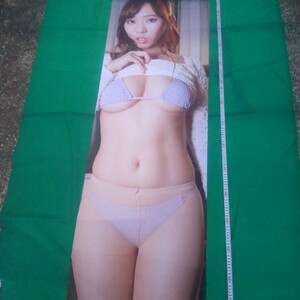 Z12 　等身大　タペストリー　布製　OL 　若妻　ベージュ　透け　パンスト　女性　150cm×50cm