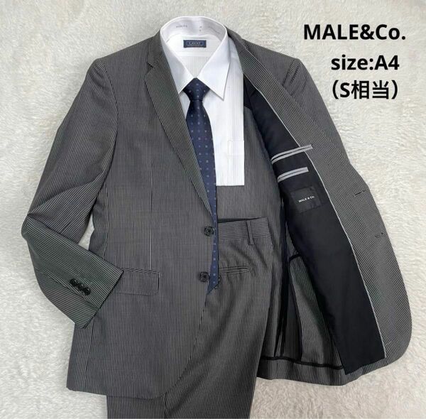 【シルク混み！夏用】MALE&Co. TAKAQ タカキュー スーツセットアップ