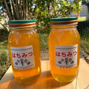 国産　純粋ハチミツ　春の百花蜜　1000ｇ×2（ビン2本セット）☆抗生物質不使用の安心・安全な本物のハチミツ