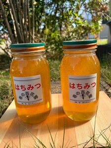 国産　純粋ハチミツ　春の百花蜜　1000ｇ×2（ビン2本セット）☆抗生物質不使用の安心・安全な本物のハチミツ