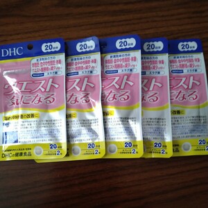 DHC waist Be careful 20 day minute diet 5 sack set 