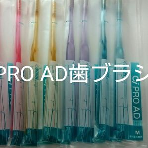 20本CiPRO AD 歯ブラシ　フラット毛ふつう（やわらかめ在庫少）