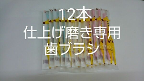 仕上げ磨き専用歯ブラシ　Ci602 ふつう　12本セット(Ci603やわらかめもあります)