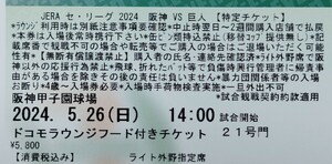 5/26 阪神vs巨人　ライト　外野指定席　通路側　