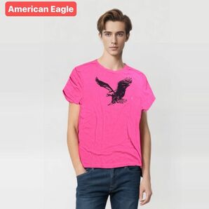 【未使用】American eagle サイズM相当 Tシャツ 半袖Tシャツ