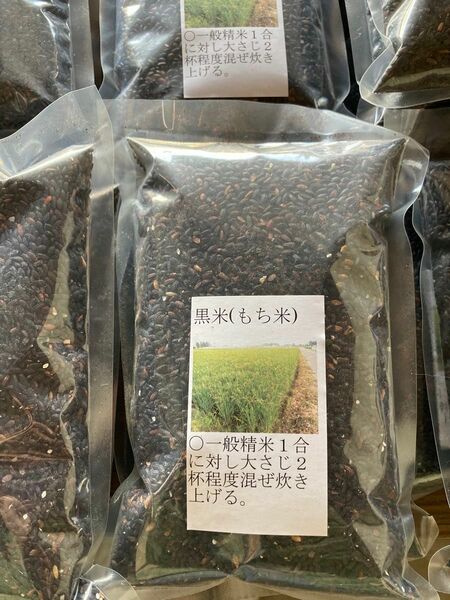 栃木県小山市産　令和5年度黒米　500g