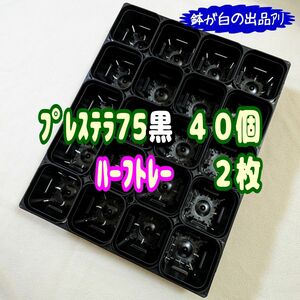 《プレステラ75黒40個＋ハーフトレー2枚》プラ鉢 スリット鉢 多肉植物