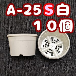 プラ鉢《A-25S》白 10個 プラ鉢 2.5号相当 スリット鉢 多肉植物 プレステラ 植木鉢