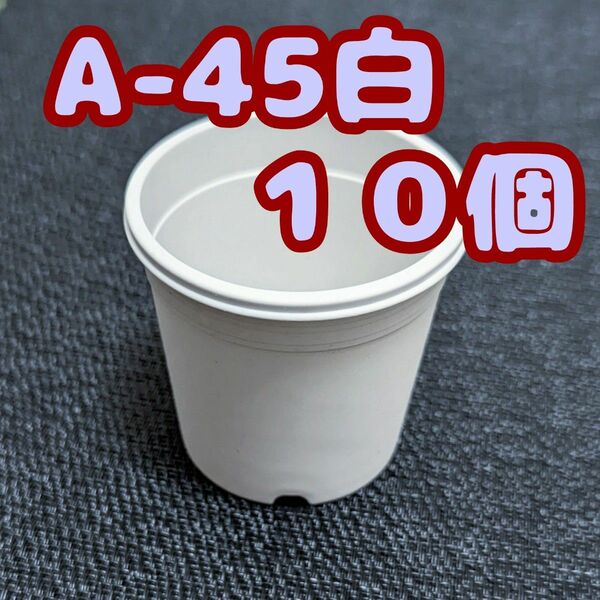 プラ鉢【A-45】10個 スリット鉢 丸 プレステラ 多肉植物