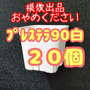 《プレステラ90》白20個 プラ鉢スリット鉢 多肉植物 植木鉢