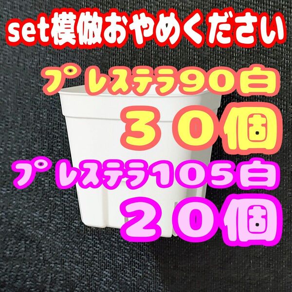 《プレステラ》90白30個・105白20個 多肉植物 プラ鉢 スリット鉢 植木鉢