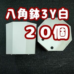 《3Y》カネヤ 八角鉢 白 20個 プラ鉢 多肉植物 3号相当 プレステラ