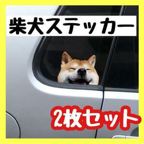 柴犬 ステッカー 2枚セット 犬 フェイク カーステッカー パソコン 韓国 車　パソコン　キャリーケース　可愛い　癒し　