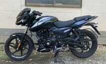 キットバイク 150cc PULSAR 試乗確認済み　千葉県_画像1