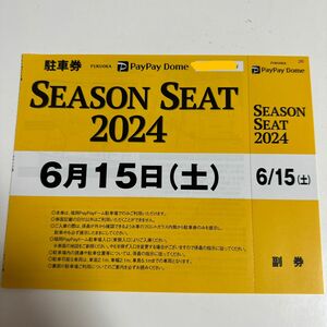 6/15(土)PayPayドーム駐車券