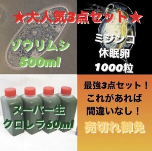 人気度No.1★送料無料★大人気3点セット タマミジンコ休眠卵1000粒 ゾウリムシ500ml 生クロレラ60ml 針子稚魚めだかメダカグッピー