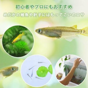 【送料無料】 即日発送 ゾウリムシ 100ml メダカの餌 針子 稚魚 餌 生き餌 エサ ぞうりむし ミジンコ みじんこ クロレラ めだかの画像7