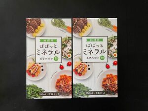 ぱぱっとミネラル 旧希望の命水 料理用10倍濃縮液2箱