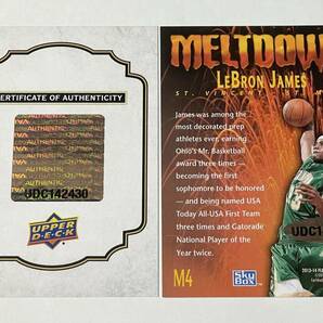 LeBron James 2013-14 UD Fleer Retro Meltdown Auto 5枚限定！！レブロン・ジェームズ 直書き 直筆サインカード！！SSP！！激レア！！！の画像5