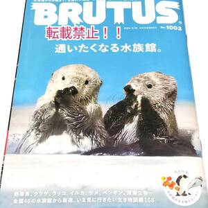 BRUTUS ブルータス 2024年 3月15日号 No.1003☆水族館の生き物ステッカー付★通いたくなる水族館。★