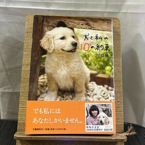 犬と私の10の約束 川口晴 240503a