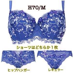 H70/M◆トリンプ TR0072 プレミアム レッドレーベル◆ブルー